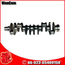 Cummins Engine Camshaft for Nt855-G